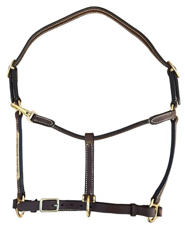 Leaders 3 4" Leather Horse Halter with Customized Name Plate (Horse)