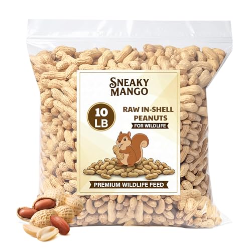 Raw Peanuts in Shell (10 Pound (Pack of 1))