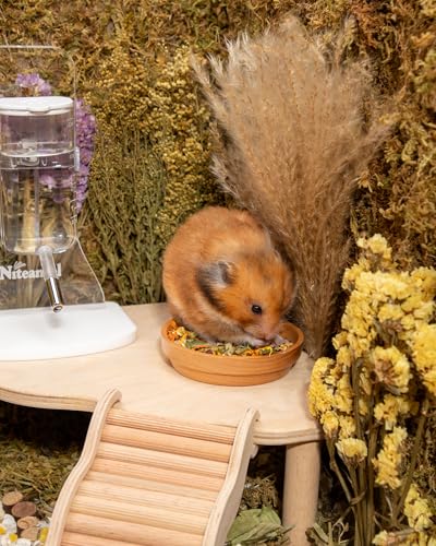 Nature Golden Hamster Food (2.2 Pound (Pack of 1))