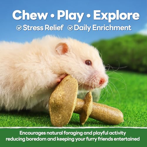 3PCS Guinea Pig Chew Toys (3PCS-Mushrooms)