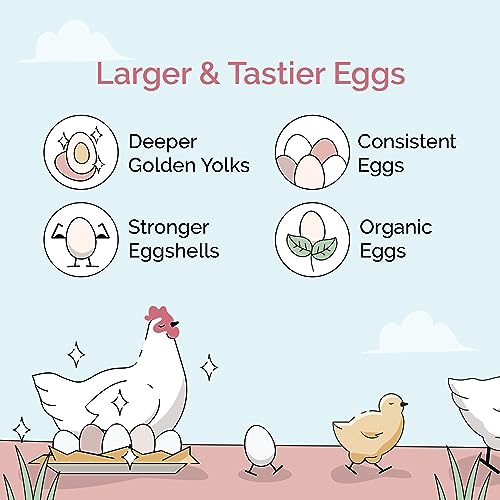 Organic Chicken Feed (Whole Grain / 46 Pound (Pack of 1))