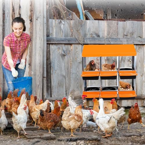 Chicken Nesting Boxes (35.4"L x 17.5"W x 9.1"H / Orange)