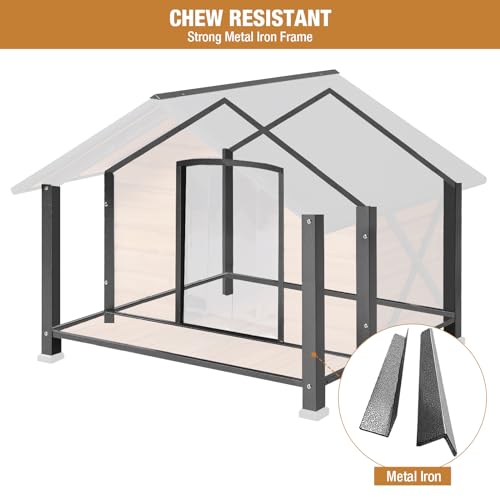 Dog House Outdoor & Indoor