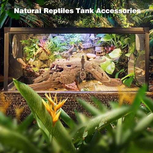 Natural Spiderwood for Aquarium Decor 5 (Spiderwood （4-8 inch pack of 5）)