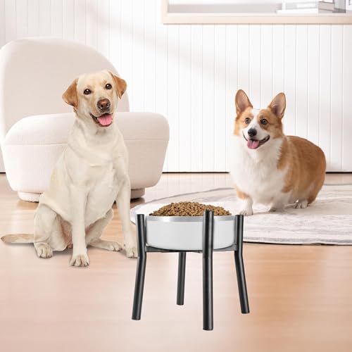 Lifted Dog Bowl Stand (Middle-HIGH-10IN)