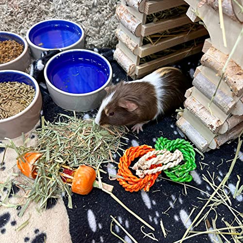 Organic Oat Hay for Small Pets (2.5 Pound (Pack of 1))