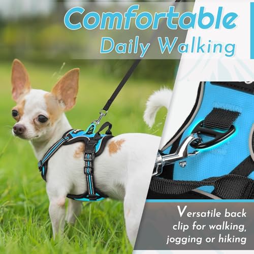 Dog Harness for Small Dogs (X-Small / Sky Blue)