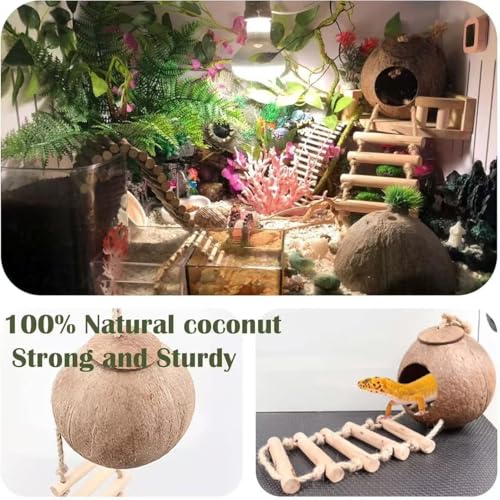 10PCS Crested Gecko Tank Accessories Set (Large with Double Coconut Shell)
