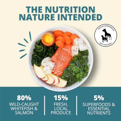 Freeze Dried Raw Dog Food Nuggets