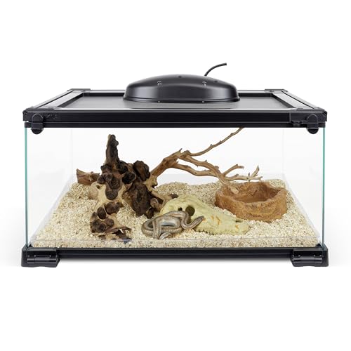 QuickBuild Reptile 10 Gallon Glass Terrarium Habitat (20x12x10)