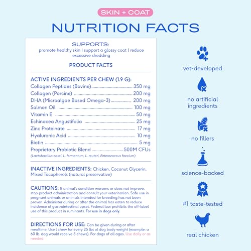 Skin & Coat Chews (60 Chews)