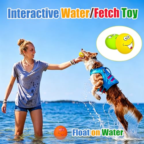 Latex Squeaky Dog Toys for Small Dogs (Burger Shape Assorted Color / Small)