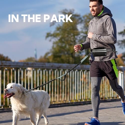 Hands Free Dog Leash for Two Dogs Walking (Grey-Green / Large)