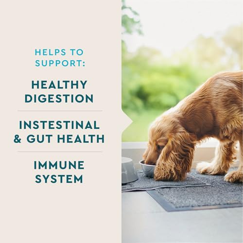 Probiotic Supplement for Dogs (60 Count)