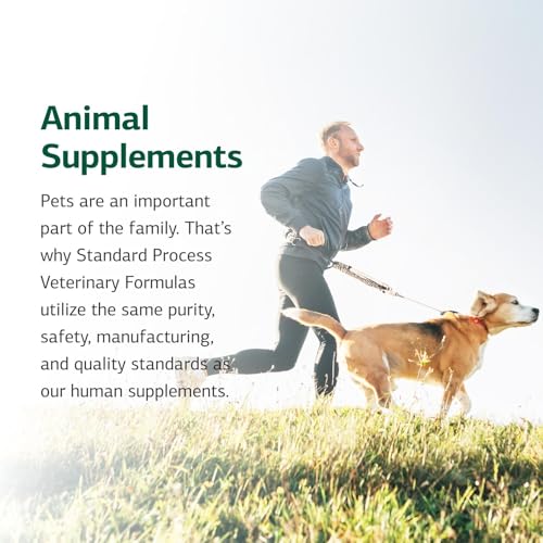 Standard Process Canine Cardiac Support (100 Grams (Pack of 1))