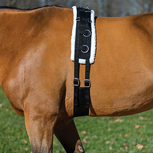Fleece Lined Training Surcingle for Horses