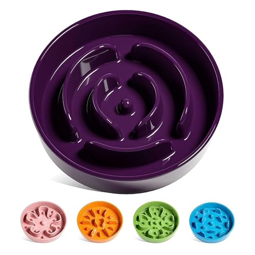 Slow Feeder Dog Bowls Ceramic (Maze Purple / L-3 Cups)