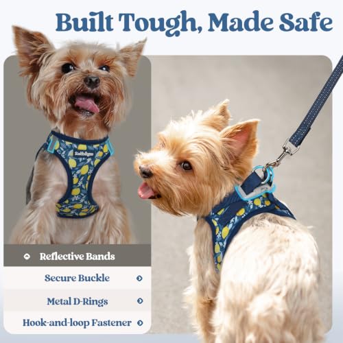 Dog Harness Small Sized and Leash Set (Navy Lemon / S (chest: 15.1 - 16.5"))