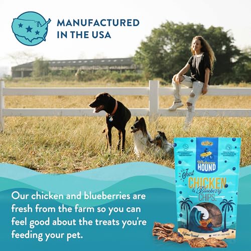 Chicken Blueberry Chips Dog Treats (3 Ounce)
