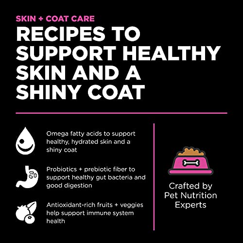 Skin + Coat Care Chicken Dry Cat Food with Grains (16 Pound (Pack of 1))