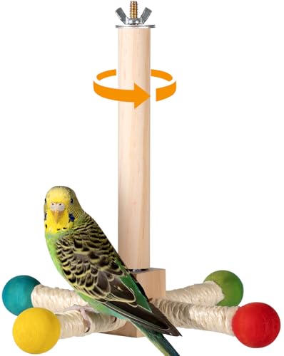 Bird Perch Toy