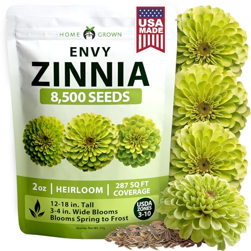 Envy Zinnia 8