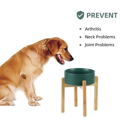 Dog Bowls Elevated (Matte Dark Green)