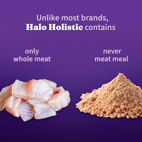 Holistic Dry Cat Food