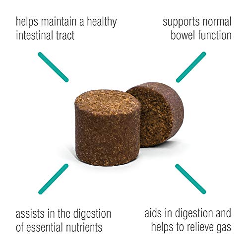 Digestive Supplement for Dogs (Standard Strength 90 ct Dog)
