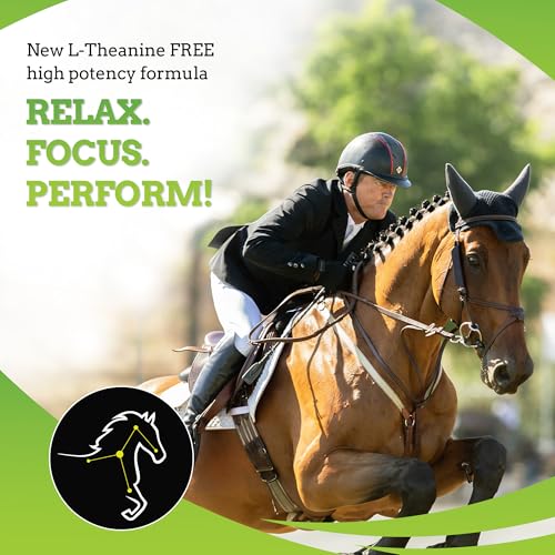 SynChill AF Horse Calming Supplement Gel (3-Pack)