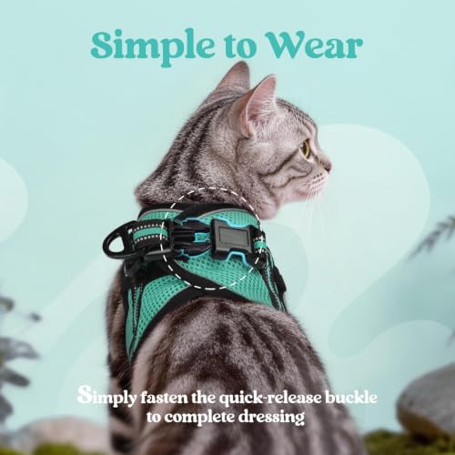 Cat Harness and Leash Set (S / Green)