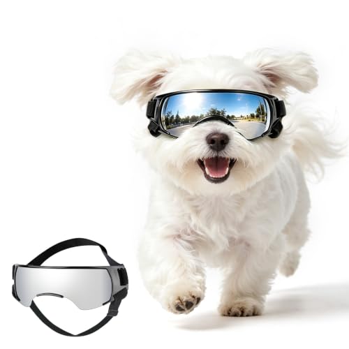 Dog Goggles for Small Dog Doggy Goggles with Adjustable Straps Anti (Cool Silver / Small)