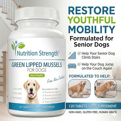 Green Lipped Mussels for Dogs