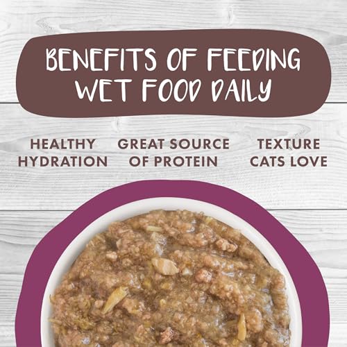 Classic Cat Stews (3 Ounce (Pack of 12))