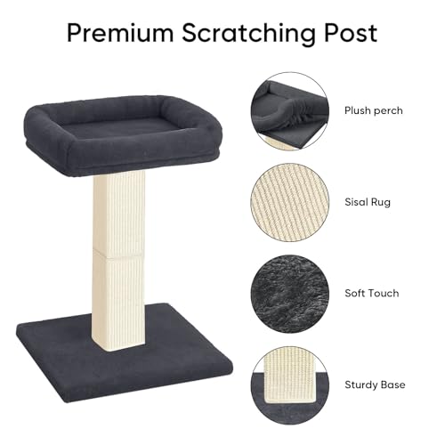 Cat Scratching Post with Plush Perch for Indoor Cats (Dark Grey)