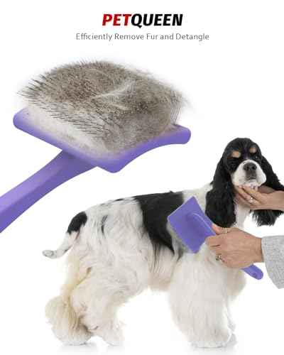 Large Dog Brush (L / Purple)