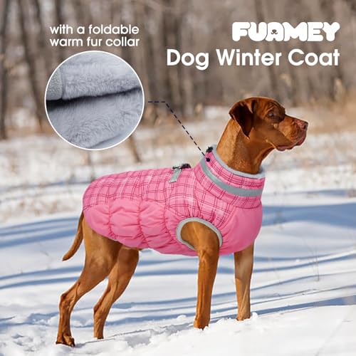 Dog Winter Coat Fleece Warm Small Dog Coat with Harness Built in (Rose Plaid / XS(chest:14in))