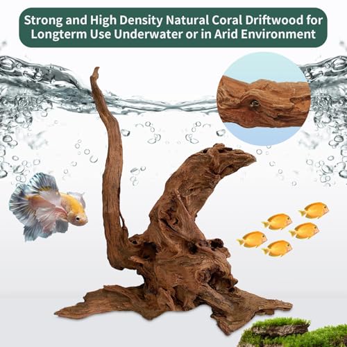2 Pcs Large Driftwood for Aquarium 8"