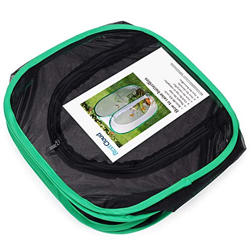 Insect and Butterfly Habitat Cage Terrarium Pop (Black With Green / 12 x 12 x 12 inches)