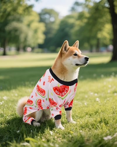 4 Pack Watermelon Dog Pajamas for Medium Dogs (Large)