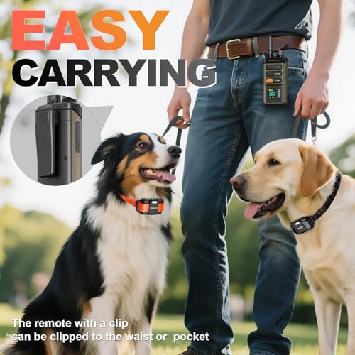 Dog Shock Collar 2 Dogs (2 collars with remote)