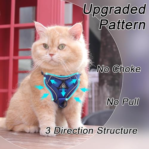 Cat Harness and Leash Set (Blue / M)