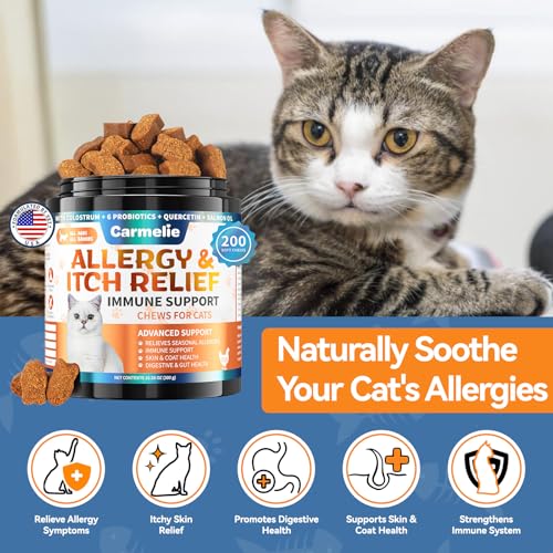 Cat Allergy Chews with Probiotic