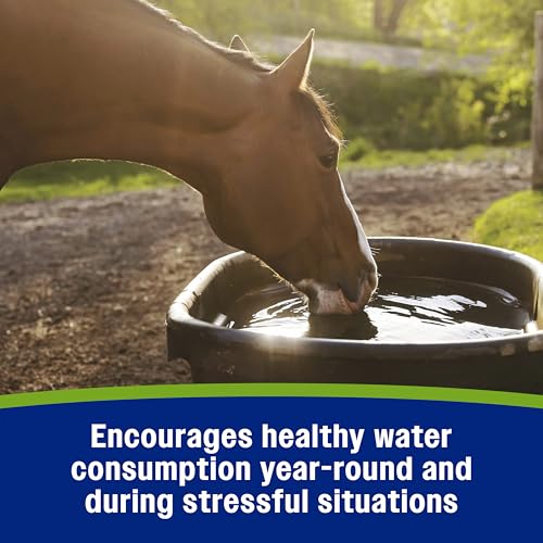 Apple Elite Horse Electrolytes Pellets Supplement (7.5 pounds)