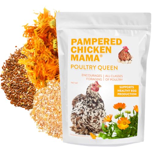 Mealworm Black Soldier Fly Larvae (10 pounds)