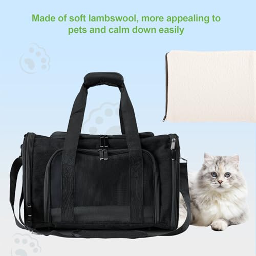 Travel in Style (Black)