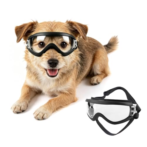 Dog Goggles Small Breed Windproof Anti (Small / Clear)