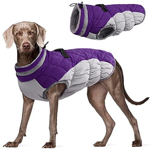 Dog Coat for Large Dogs (Purple / XXL(chest:35in))