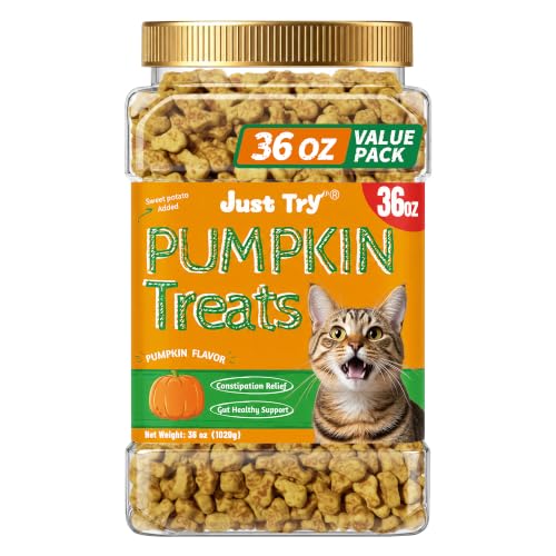 36 OZ Pumpkin Cat Treats Salmon for Digestive Health (2.25 Pound (Pack of 1))