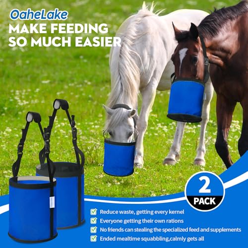 Horse Feed Bag 2 PCs (2 Pcs Blue)